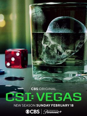 CSI: Вегас - 3 сезон - 9 серия