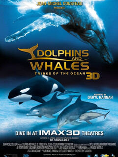 Дельфины и киты 3D